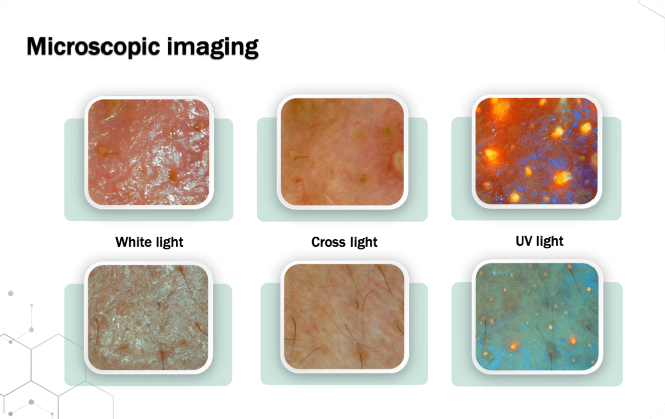 SK-X5-Pro microscopic imaging modes including white light cross light and UV light